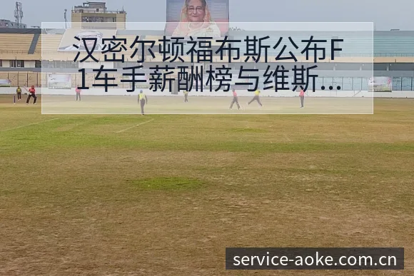 汉密尔顿福布斯公布F1车手薪酬榜与维斯战术变化风险观察 - 澳客