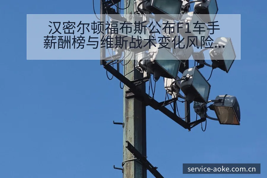 汉密尔顿福布斯公布F1车手薪酬榜与维斯战术变化风险观察 - 澳客